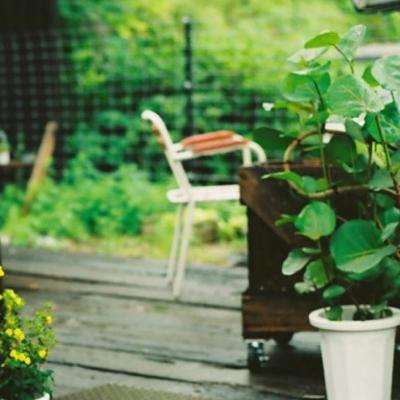 赢三张免费游戏手机app下载