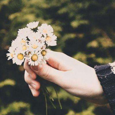 b体育官方下载入口手机版