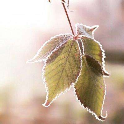 南宫体育app下载安装截图